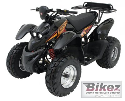 2009 CPI ATV XT 50 photo